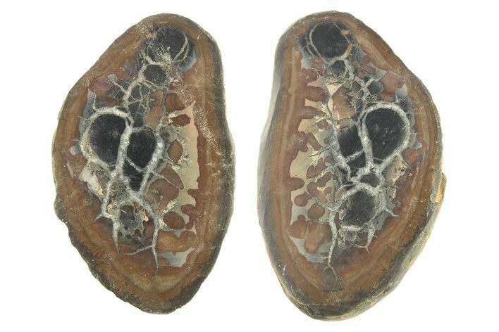 Cut/Polished Septarian Nodule Pair - Morocco #273627